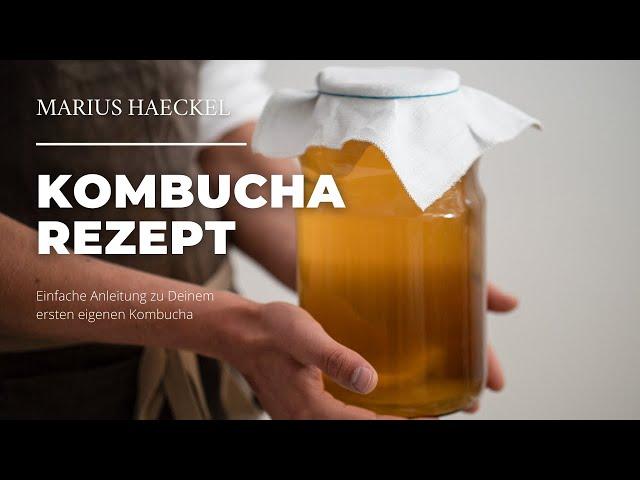 Kombucha einfach selber machen - Schritt für Schritt Anleitung! - Marius Fermenter Haeckel