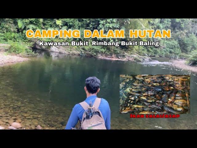 CAMPING DALAM HUTAN KAWASAN BUKIT RIMBANG BUKIT BALING DESA PETAI, KUANTAN SINGINGI.