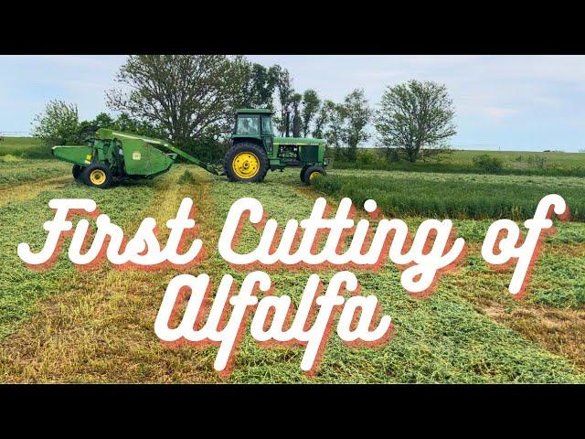 First Cutting of Alfalfa! With the John Deere 4440!!