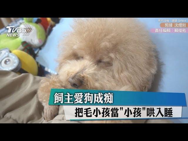 飼主愛狗成痴 把毛小孩當「小孩」哄入睡