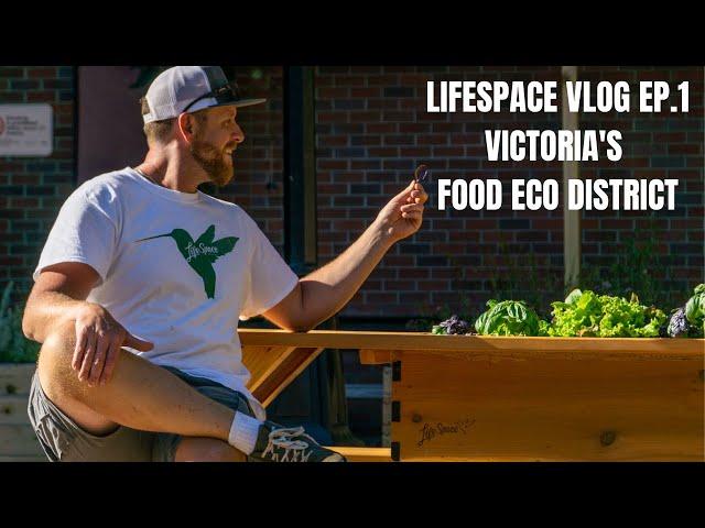 Harvest Table & Artifex Planters at The Food Eco District in Victoria