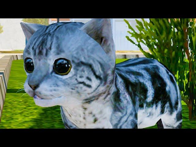 Симулятор Кота - Жизнь Животных #1 Маленький котенок Cat Simulator Animal Life с Кидом на пурумчата
