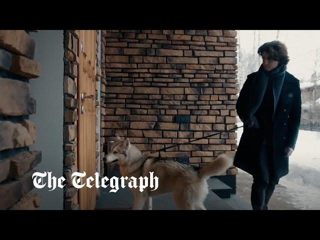 Russia releases bizarre dog propaganda video as it calls for end to 'hate' campaign