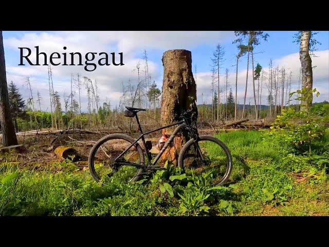 Rheingau per Mountainbike