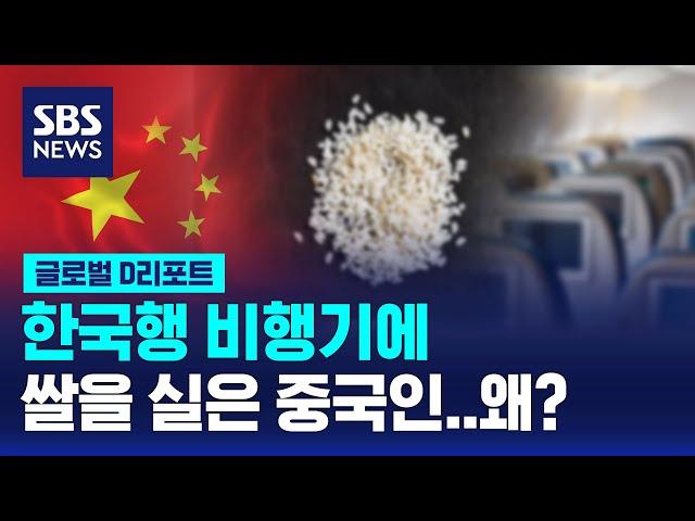 중국인들은 왜 한국행 비행기에 쌀을 실을까? / SBS / #D리포트