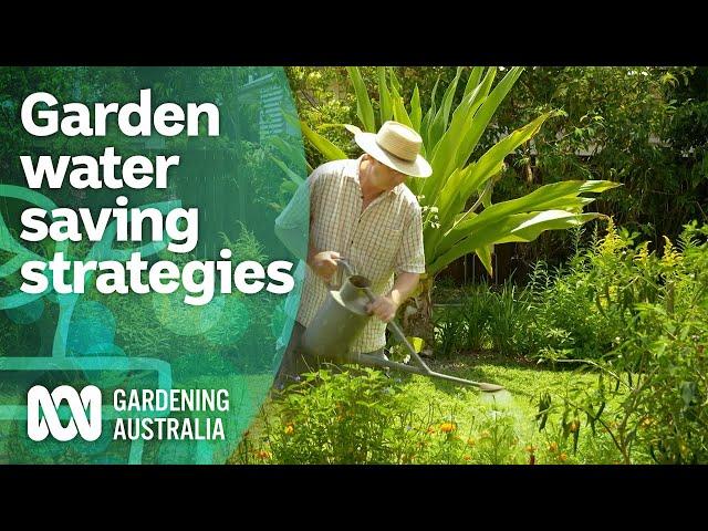 8 tips for saving water in your productive garden | Becoming self-sufficient | Gardening Australia