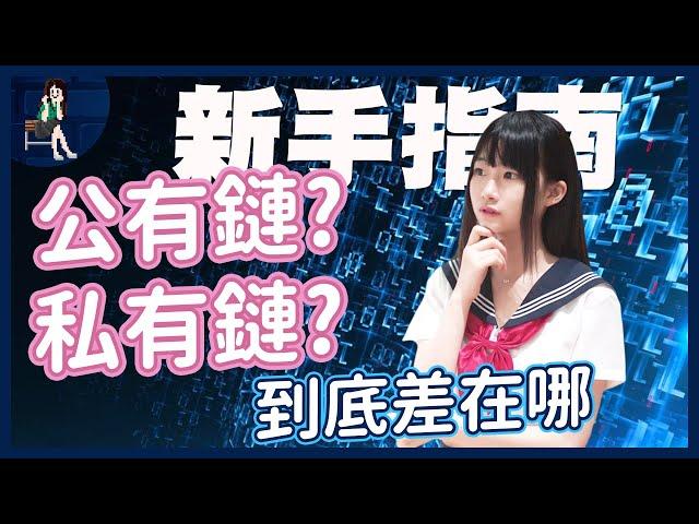 公鏈 vs 私鏈？區塊鏈技術的兩大陣營分析【資工少女李婷婷】