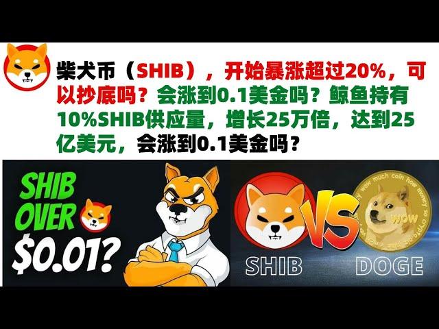 柴犬币（SHIB），开始暴涨超过20%，可以抄底吗？会涨到0.1美金吗？鲸鱼持有10%SHIB供应量，增长25万倍，达到25亿美元，最初投资仅1万美元，会涨到0.1美金吗？柴犬币|屎币行情分析！