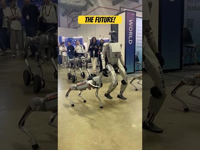 Robots in action! #robot #ai #technology #innovation