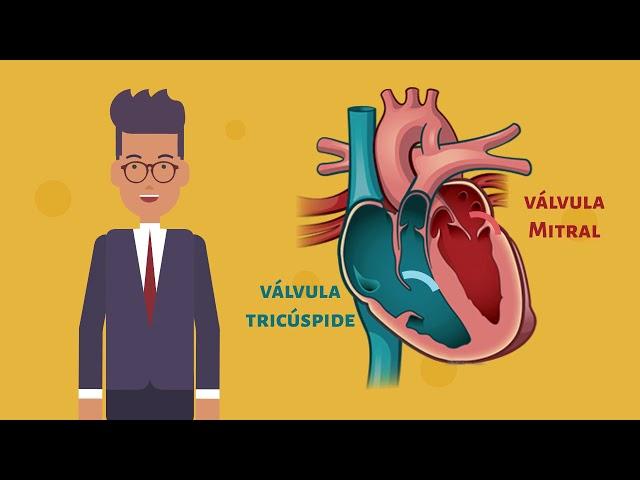 Sistema Cardiovascular, una forma práctica de aprender.