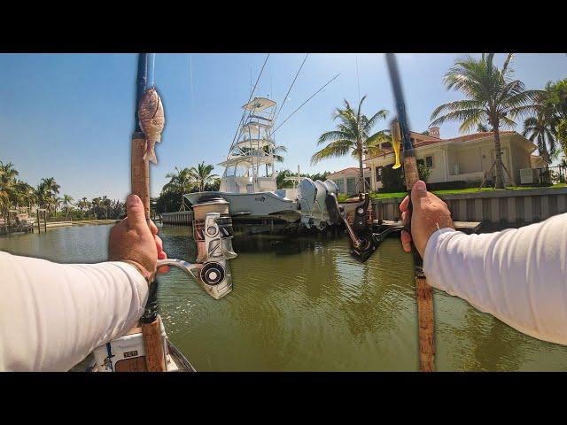 Fishing Million Dollar Florida Residential Canals and Caught a Monster!!