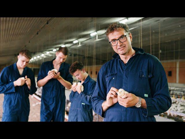 Zu Besuch bei Philipp Beckhove | KI in der Hähnchenmast und die Ausbildung auf dem Hof