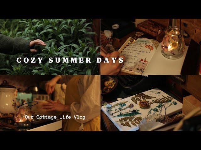 ️Cozy Summer Days | Kitchen Organization | Summer Cottagecore Hobbies