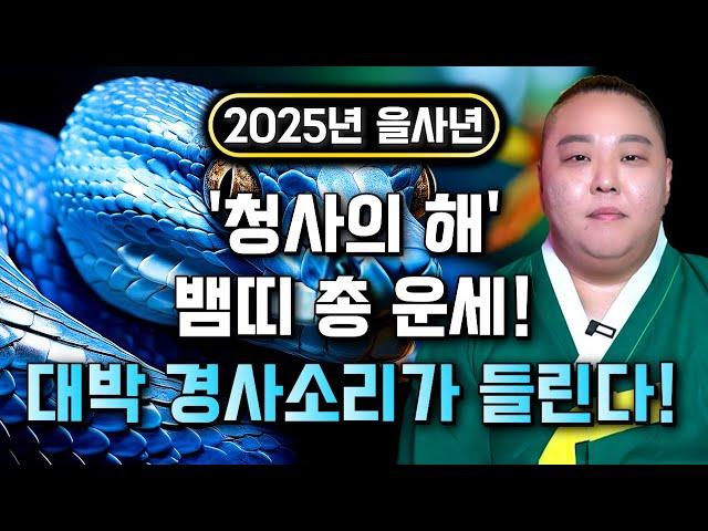 2025년 을사년 뱀띠운세, 재물과 성공의 기운이 몰려온다! 인생을 바꿀 기회가 찾아오는 '2025년 초대박 뱀띠운세!' 53년생 65년생 77년생 89년생 뱀띠 운세 / 서울점집