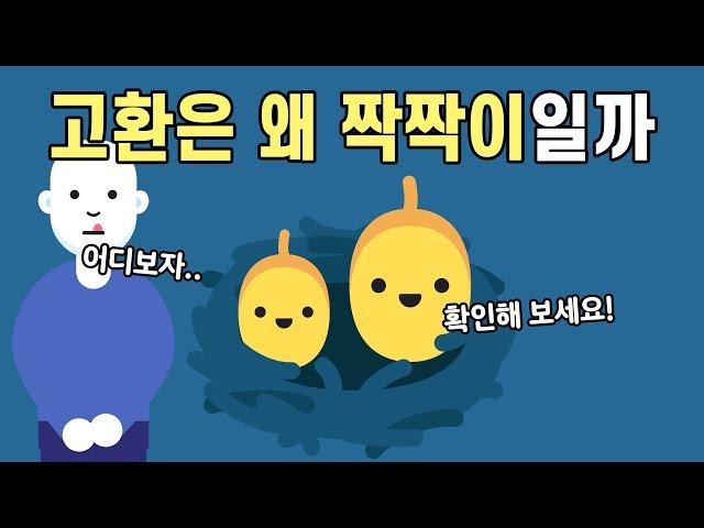 남자의 고환은 왜 좌, 우 크기가 다를까