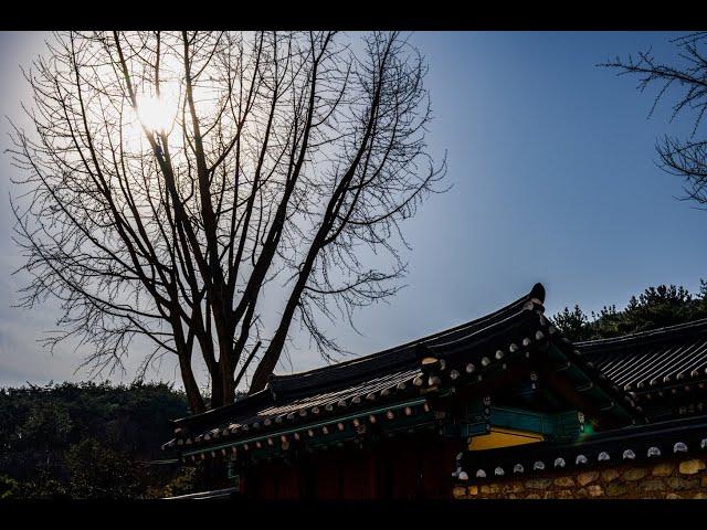 양산의 한적한 구석에 위치한 박제상 유적 효충사