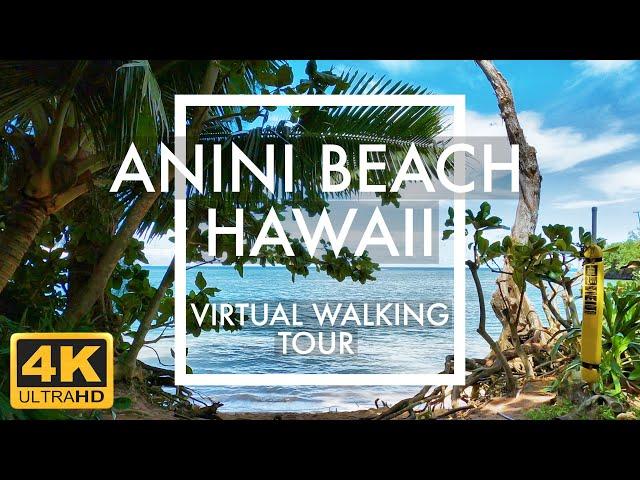 [4K] Anini Beach, Kauai Hawaii | Virtual Walking Tour | Relaxing Travel Simulator