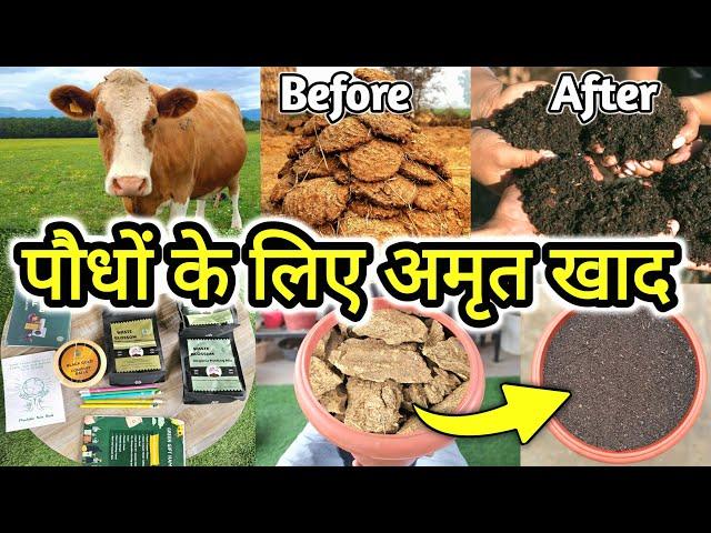 How to make Cowdung compost Fertilizer, Gardening ideas to make fertilizer for plants