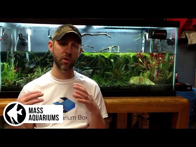 How to REMOVE NITRATES from your Aquarium. 3 steps to Balance Nitrate levels in your Aquarium