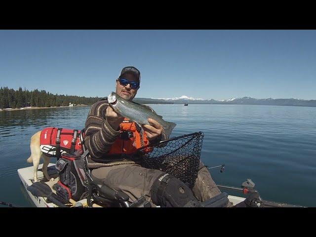 Destination: Lake Almanor for Huge Trout, Big Kings, and Abundant Smallmouth Bass