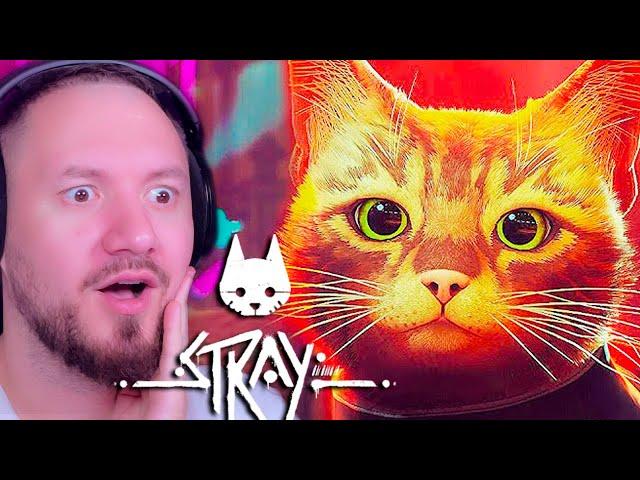 Я СТАЛ КОТОМ - STRAY  КОШАЧИЙ КИБЕРПАНК 2022 ИГРА ПРО КОТИКА
