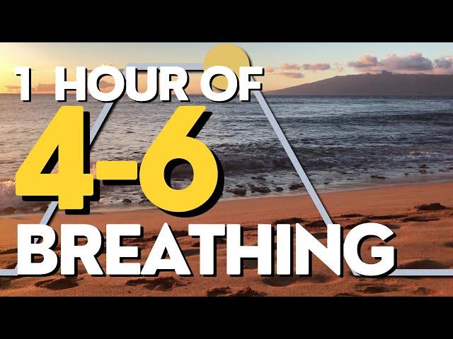 4-6 Breathing for Stress: Inhale 4, Exhale 6