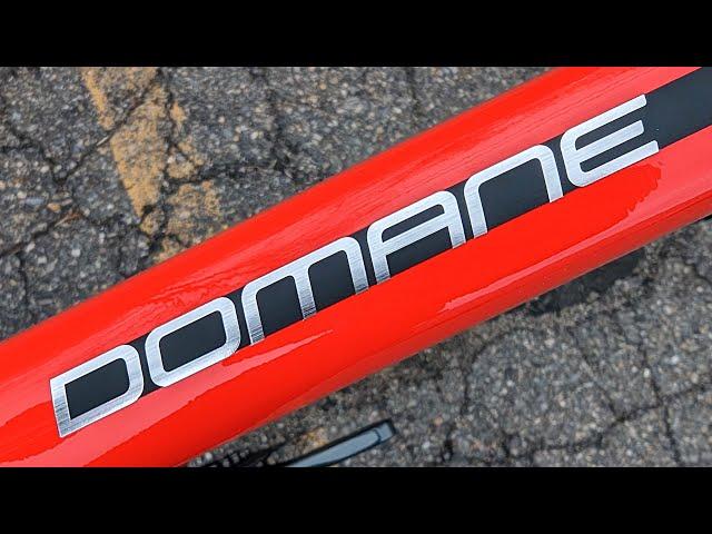 Uncover the Best Budget Endurance Bike of 2023 | Trek Domane AL 4 Disc