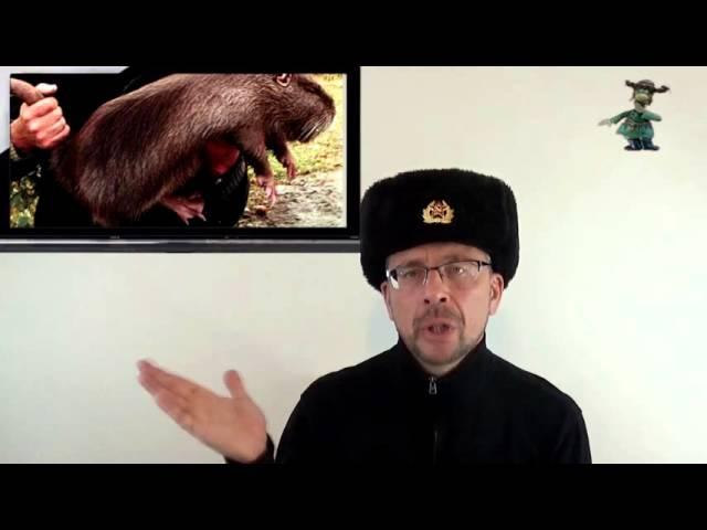 Welcome to Ushanka Show! My Stories About Life in the USSR #ussr #sputnikoff