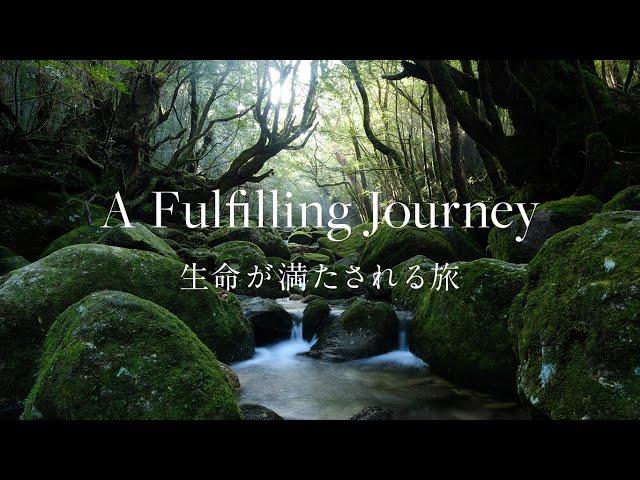 【屋久島 | Yakushima】世界自然遺産登録30周年記念映像 | World Natural Heritage Site - 30th Year Anniversary Video