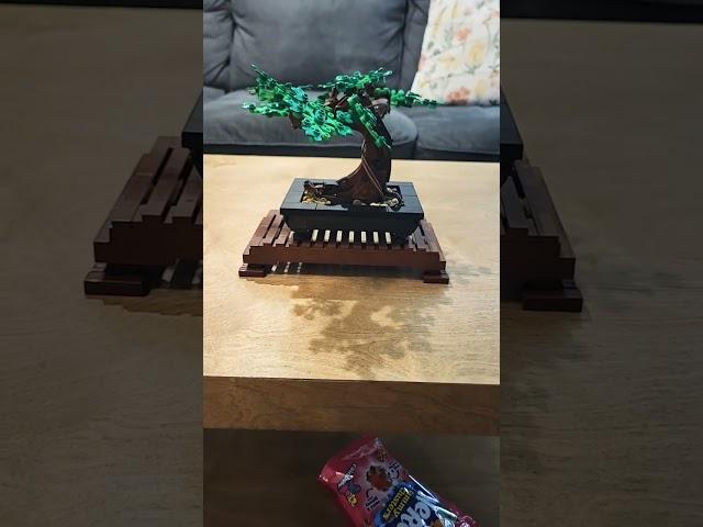 Me and my dad made a bonsai tree out of legos!