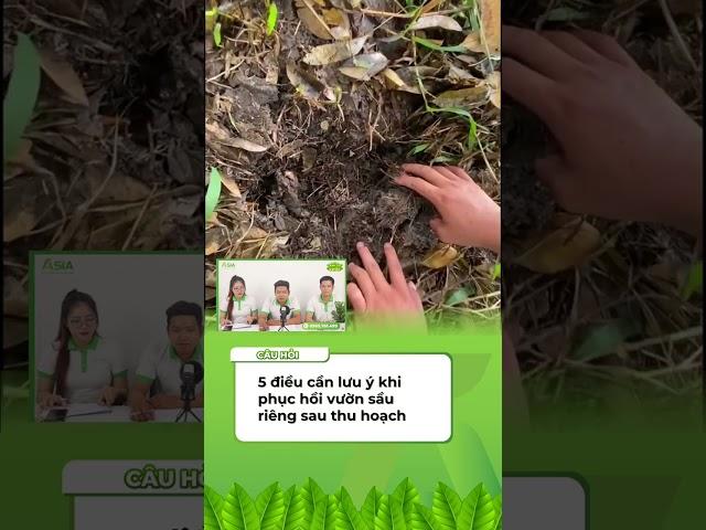 5 Điều Cần Lưu Ý Khi Phục Hồi Vườn Sầu Riêng Sau Thu Hoạch II Hành Trình Canh Tác Khoẻ