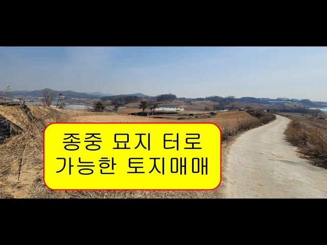 (부동산매물2)충북 음성군 삼성면 대정리 종중묘지(묏자리,산소,납골당,납골묘,수목장)로 사용할 토지매매