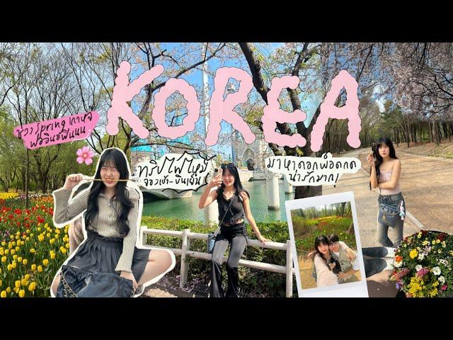 KOREA vlog 2024  มาเพื่อดอกพ็อดกด, ทริปไฟไหม้ จองเช้า บินเย็น, 4 วัน 3 คืน ฟออินอฟรินน