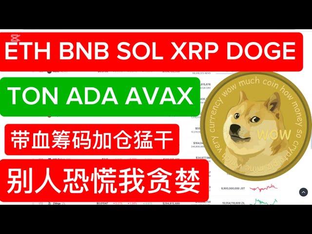 ETH BNB SOL XRP DOGE TON ADA AVAX 牛市价格预测 最佳建仓时机！别人恐慌我贪婪！这个时候你不进场难道要买在山顶？