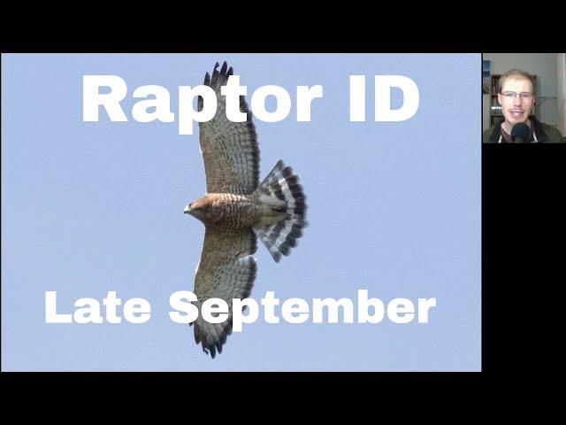 (2/6) Raptor Identification - Late September - Ashland Hawk Watch 2023