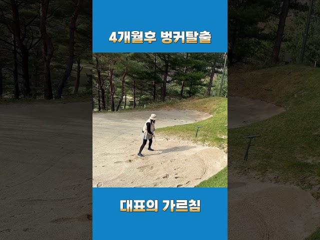 대표의 가르침을 받은 4개월후의 골린이의 변화 #퍼스트골프 #golf #골프스윙 #골프레슨 #골린이 #벙커샷 #벙커탈출