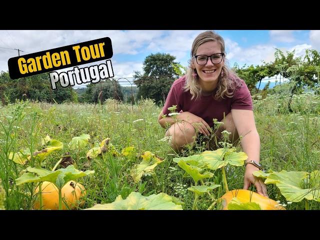 What's on my homestead in Portugal? - Garden Tour