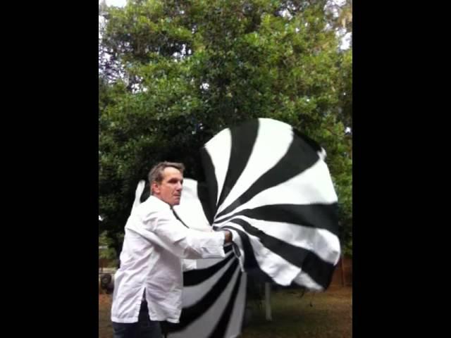 Painted Pinwheel: Black and White