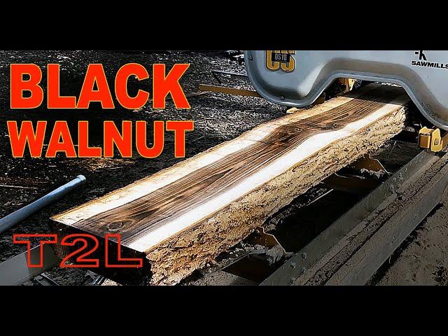 First Black Walnut on my Frontier OS18 Sawmill!