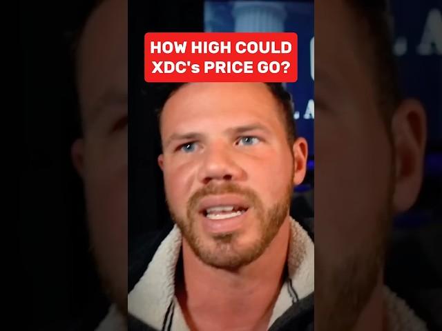 How High Could XDC's Price Go
