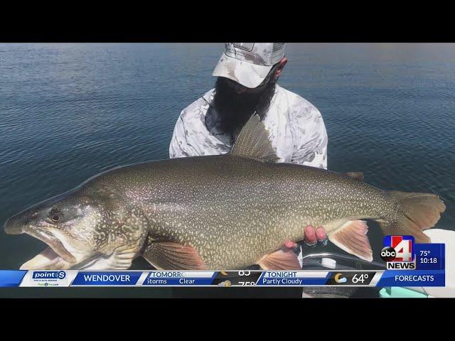 Record setting trout caught and realesed at Flaming Gorge