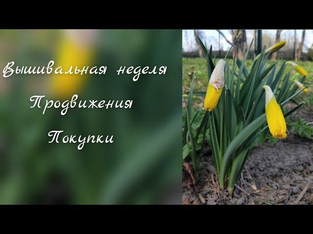 вышивальная неделя 7. продвижения процессов, покупки. наборы для вышивания. весна!