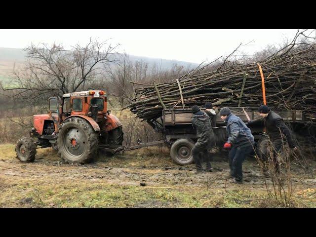 Tractor MTZ 2021~a alunecat in ripa Мтз john deere