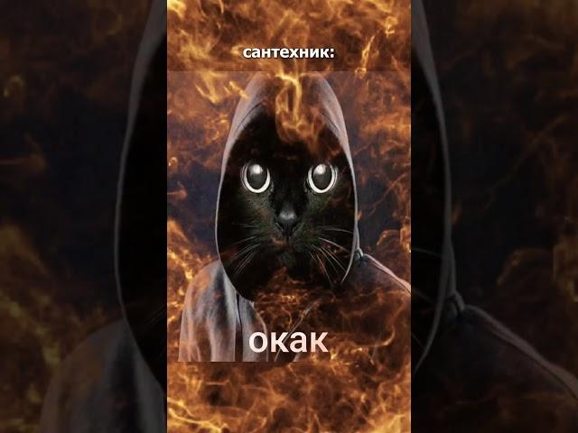 «Иногда я оставляю сантехнику чаевые, если он не лысый из браззерс»
