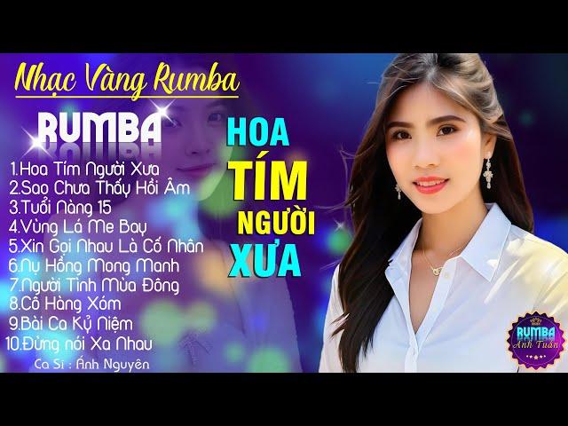 HOA TÍM NGƯỜI XƯA, ÁNH NGUYÊN - ALBUM NHẠC VÀNG RUMBA CỰC HÓT 2024, NGHE XAO XUYẾN CON TIM