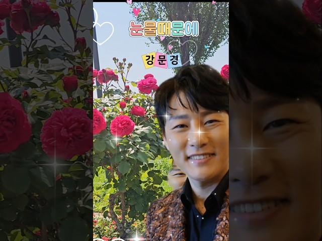 외목대 장미와 #뽕신 #강문경 #눈물때문에 1 #안양천