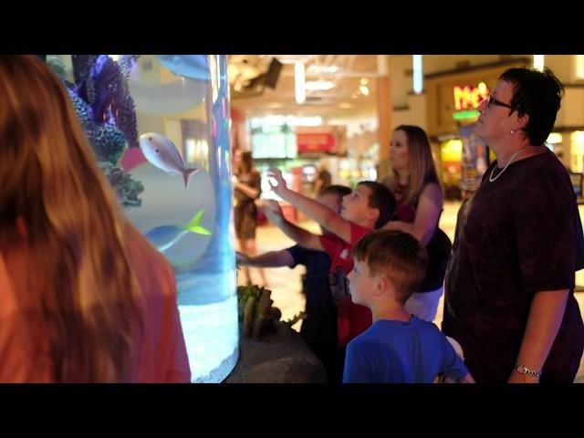 DIVE IN to Marine Biology at the Aquarium Restaurant