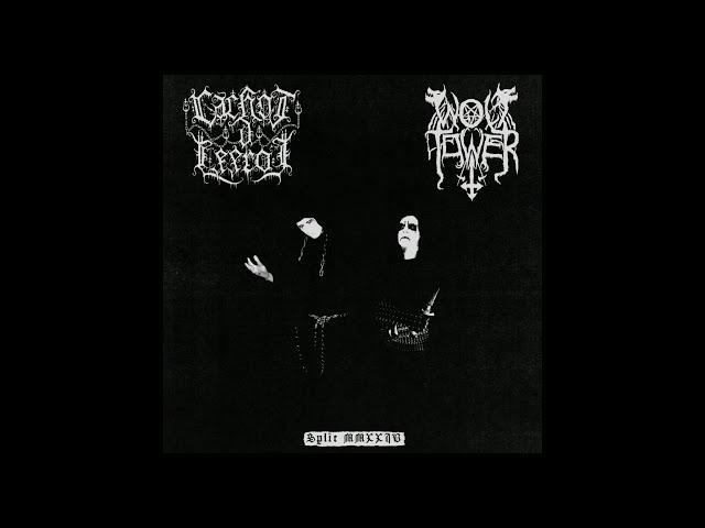 Cachot d'Effroi / Wolftower - Split MMXXIV