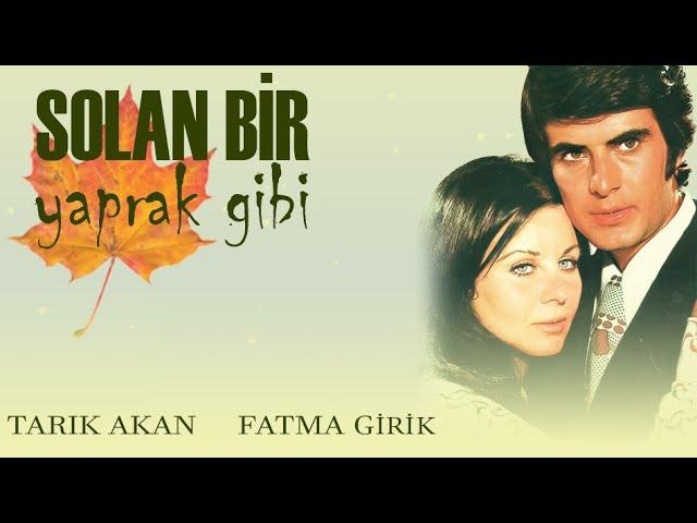 Solan Bir Yaprak Gibi Türk Filmi | Fatma Girik | Tarık Akan