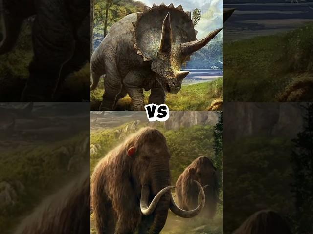 T REX VS MAMMOTH, ELEPHANT, RHINO, TRICERATOPS,ETC SIZE COMPARISON#shorts